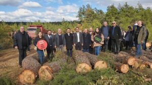 CHP’li Aygun’dan Kazdağları’nda ağaç kıyımına suçüstü!