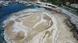 Marmara’da Müsilaj Alarmı!