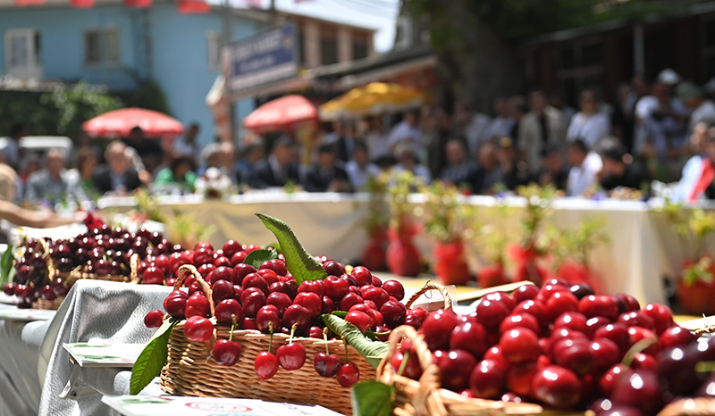 Kiraz Festivalinin tarihleri belli oldu